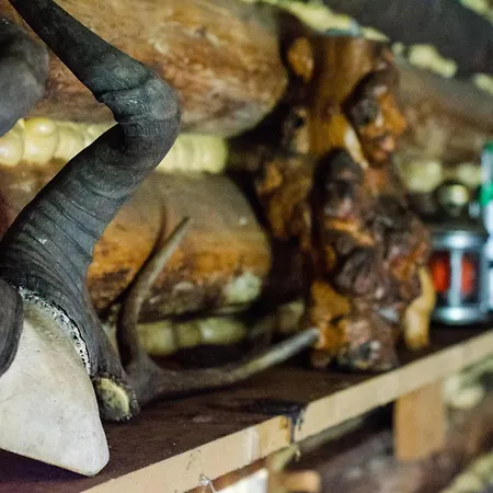 V Divocine Luksustelt