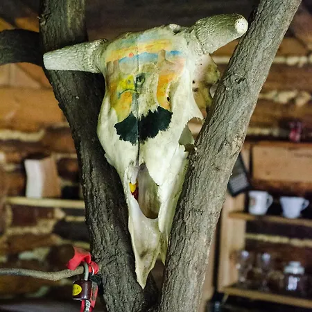 V Divocine * Huntirov (Usti nad Labem)