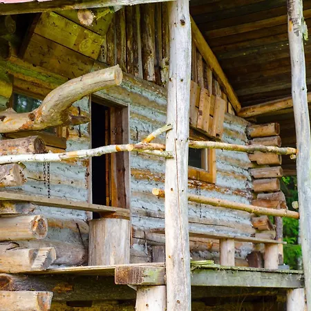 V Divocine Luksustelt *