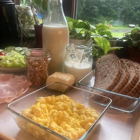 Luksustelt V Divocine *