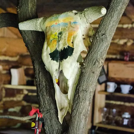 Luksustelt V Divocine *