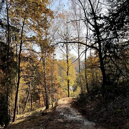 Luksustelt V Divocine