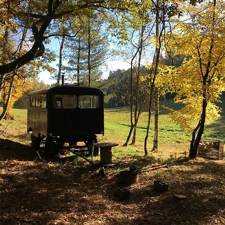 V Divocine Luksustelt